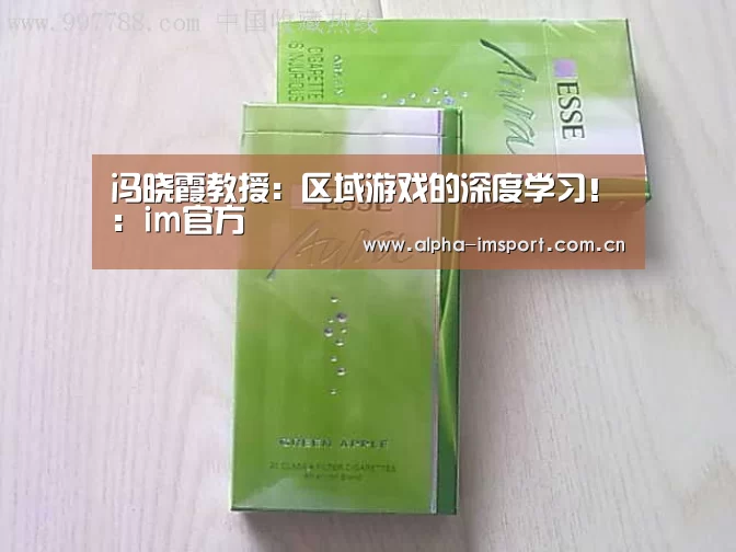 冯晓霞教授:区域游戏的深度学习!:im官方(图3) im体育