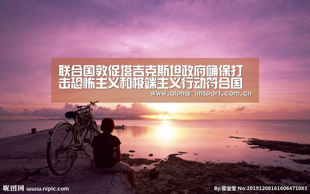 im体育下载