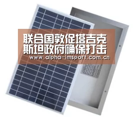 im体育投注