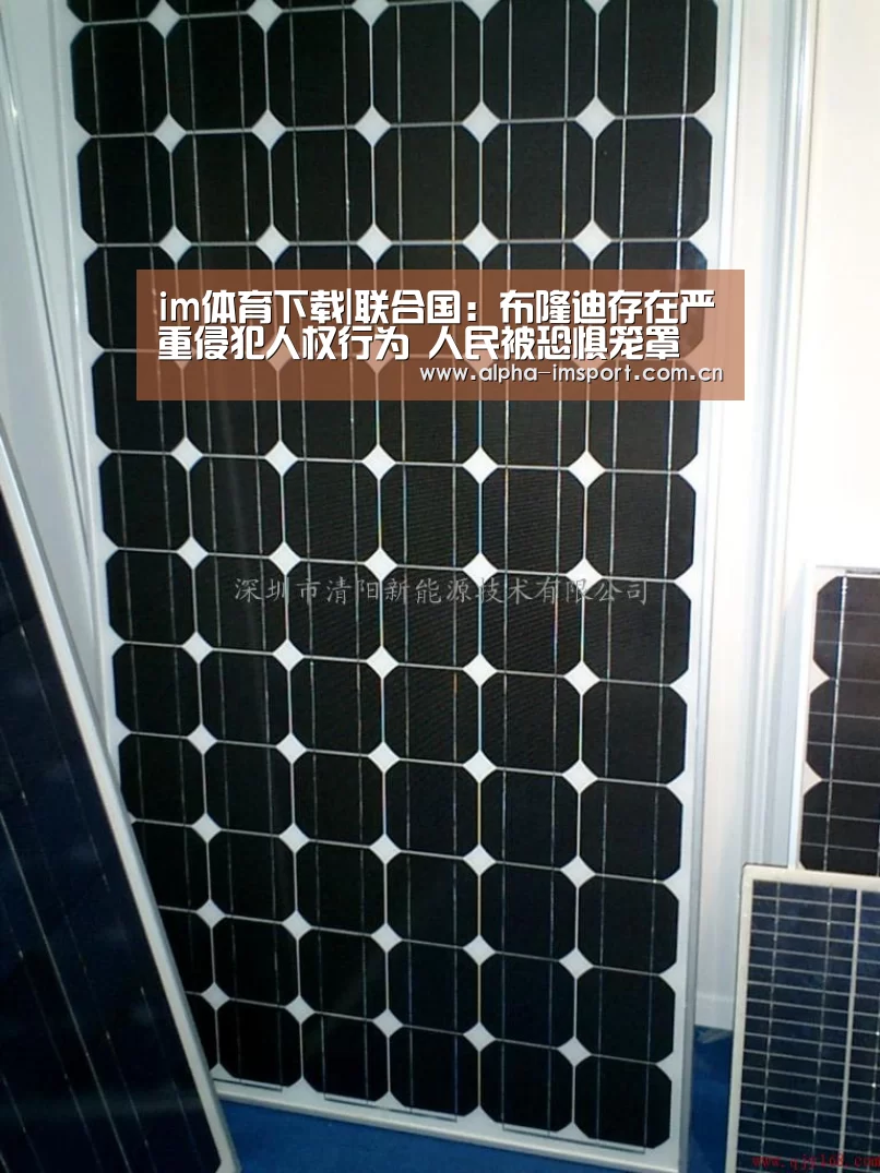 im官方