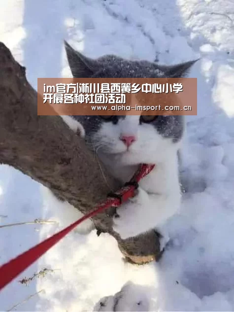 im体育