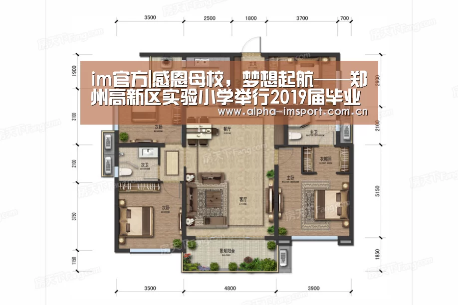 im体育下载