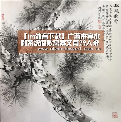 im体育投注
