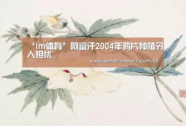 im体育