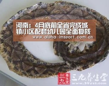 im体育投注