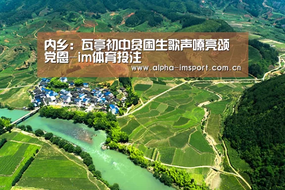 im体育