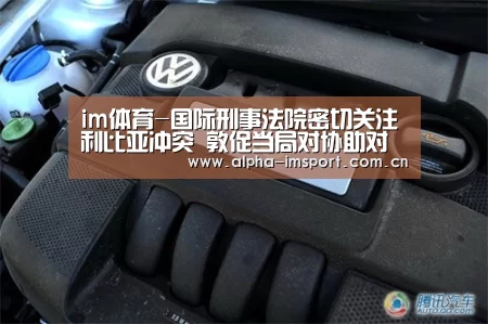 im体育投注